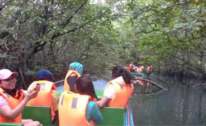 Mangrove Tour Travel Bintan Viandra